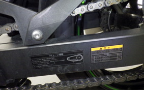 KAWASAKI NINJA 250 2024 EX250Y