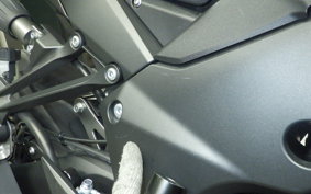 KAWASAKI NINJA 1000 A 2021 ZXT00W