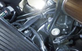 HONDA NT1100 2025 SC90