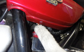 KAWASAKI Z250 Limited 2025 KZ250H