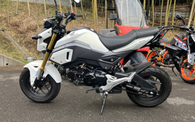 HONDA GROM JC61