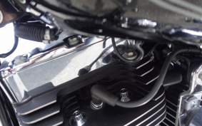 HARLEY FXSTC1340 2007 JL5