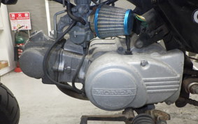 HONDA MONKEY 2025 Z50J