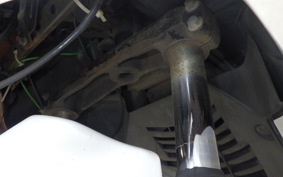 YAMAHA MAJESTY 250 C SG03J