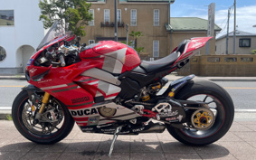 DUCATI PANIGA-REV4S 2018 DA00J