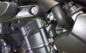 TRIUMPH TRIDENT 660 2021