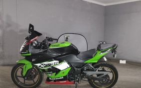 KAWASAKI NINJA 250R EX250K