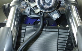 YAMAHA MT-03 2019 RH13J
