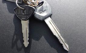 HONDA REBEL 250 A MC49