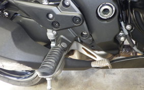 KAWASAKI NINJA1100SX 2025 ZXT10H