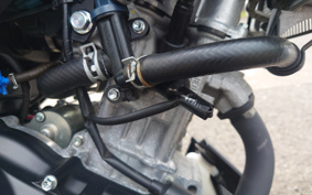 YAMAHA XSR125 RE46J