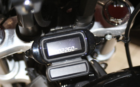 HARLEY FXST 2021 BVJ