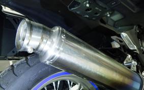 KAWASAKI VERSYS X250 A LE250D