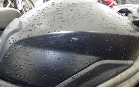 TRIUMPH SPEED TRIPLE RS 2018