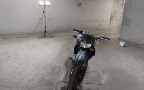 KAWASAKI D-TRACKERX LX250V