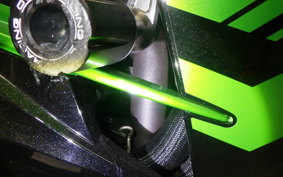 KAWASAKI ZX 1400 NINJA R A 2019