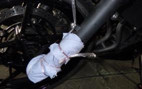 KAWASAKI Z400 Gen.2 2019 EX400G