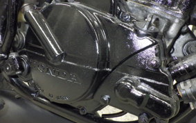 HONDA MBX50F 2024 AC08
