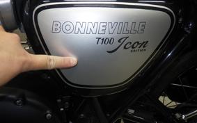 TRIUMPH BONNEVILLE T100 2025