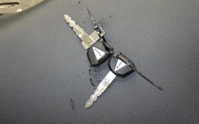 KAWASAKI NINJA 1000 SX 2025 ZXT02K