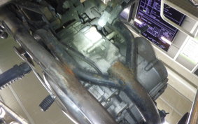KAWASAKI ESTRELLA RS 2024 BJ250A