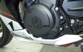 KAWASAKI NINJA 250 EX250P