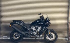 HARLEY PAN AMERICA 1250 SPECIAL 2022 ZES