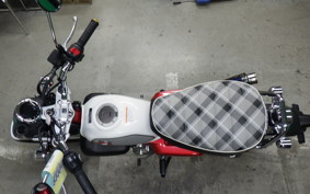 HONDA MONKEY 125 2022 JB03