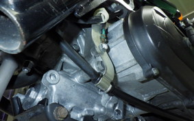 HONDA ZOOMER 2023 AF58