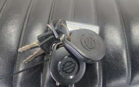 HARLEY HARLEY XL883N 2015 LE2