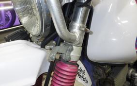 YAMAHA TT250R RAID 2009 4GY