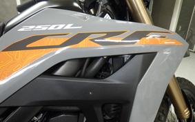 HONDA CRF250L 2005 MD47