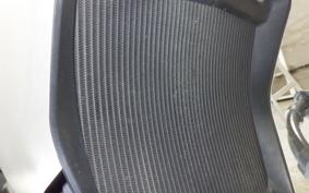 DUCATI DIAVEL X 2017