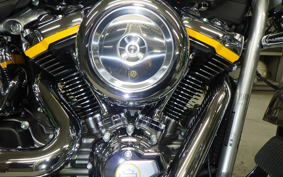 HARLEY FLSTFI1920 2025