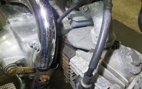 HONDA MONKEY 2018 Z50J
