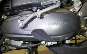 HONDA DUNK AF74