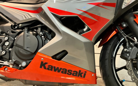 KAWASAKI NINJA 400 2018 EX400G