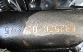 KAWASAKI Z250 ER250C