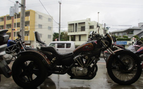 YAMAHA VIRAGO 250 Trike 3DM