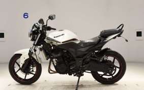 KAWASAKI NINJA 250R EX250K