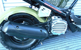 HONDA ZUMAR AF58