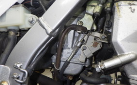 KAWASAKI KLX250 2022 LX250E