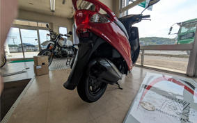 SYM X*PRO MANNER 50