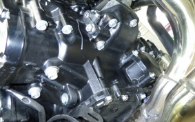 KAWASAKI Z900RS 2024