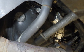 YAMAHA MAXAM 250 SG21J