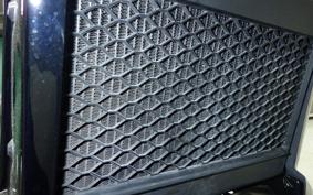 HONDA REBEL 250 2024 MC49