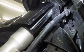 HONDA LEAD 110 2021 JF19
