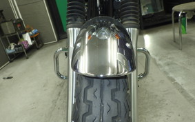 KAWASAKI W800 2019 EJ800A