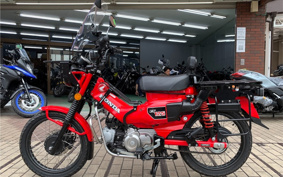 HONDA CT125 HUNTER CUB JA65