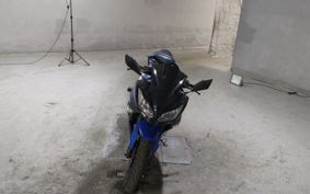 KAWASAKI NINJA 250 EX250L